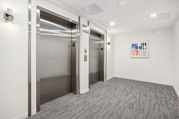 Two stainless steel elevators in a hallway with a carpeted floor.